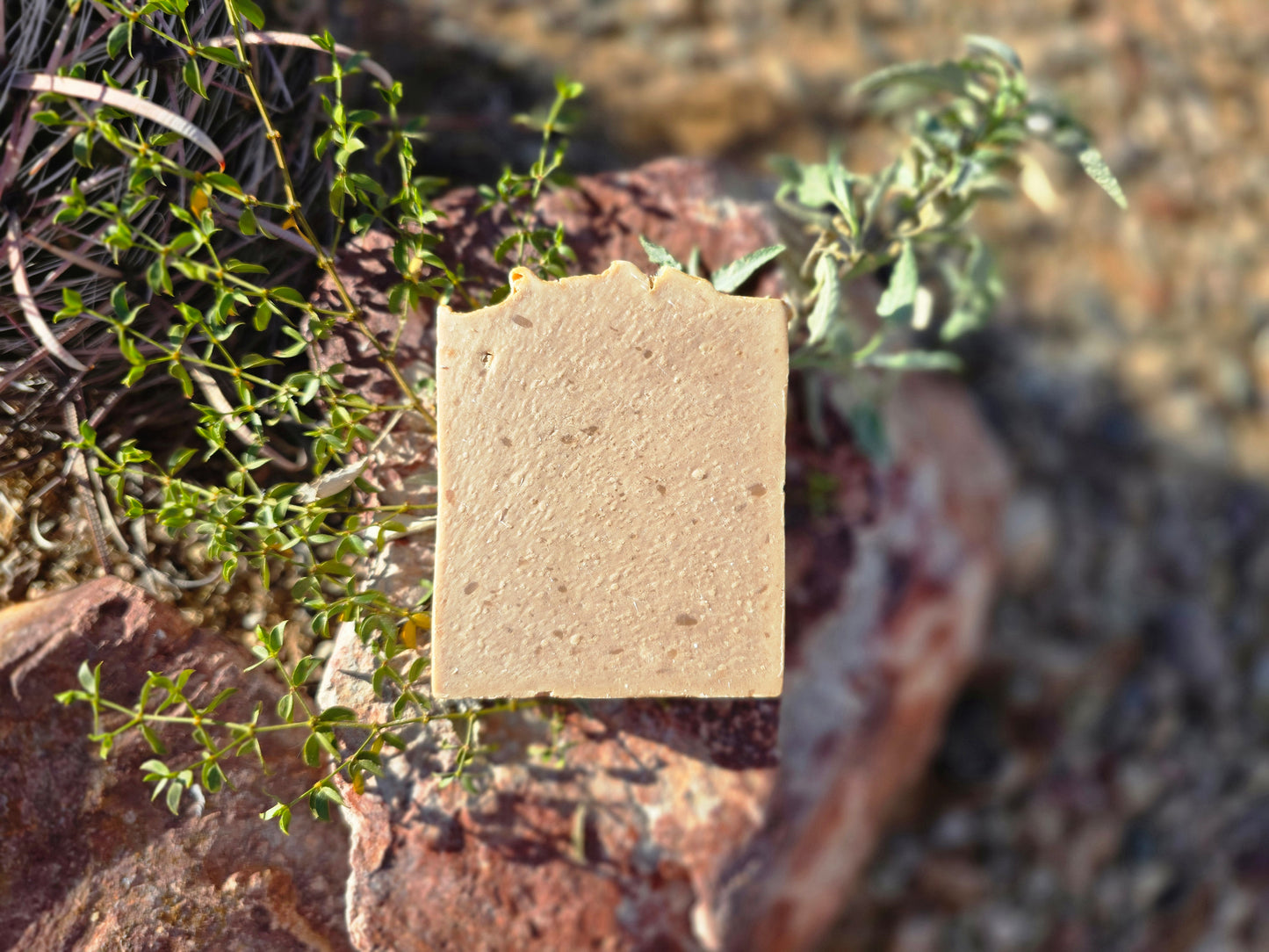 Golden Pumpkin and Cardamom Soap - Herban Desert