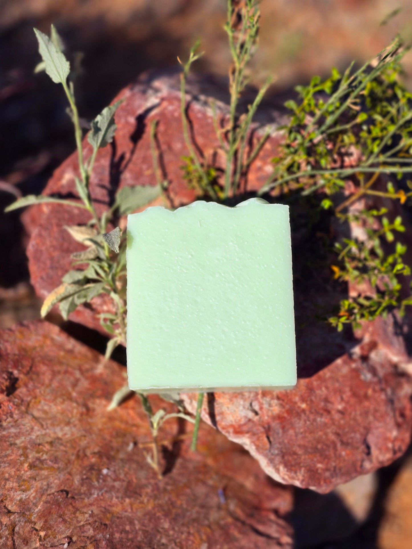 One unlabeled bar of our cucumber and melon tallow soap.