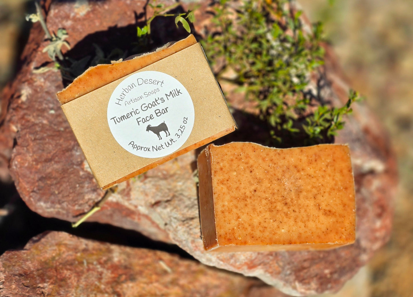 Two turmeric and goat milk bars of soap, one with our label on it and one without.