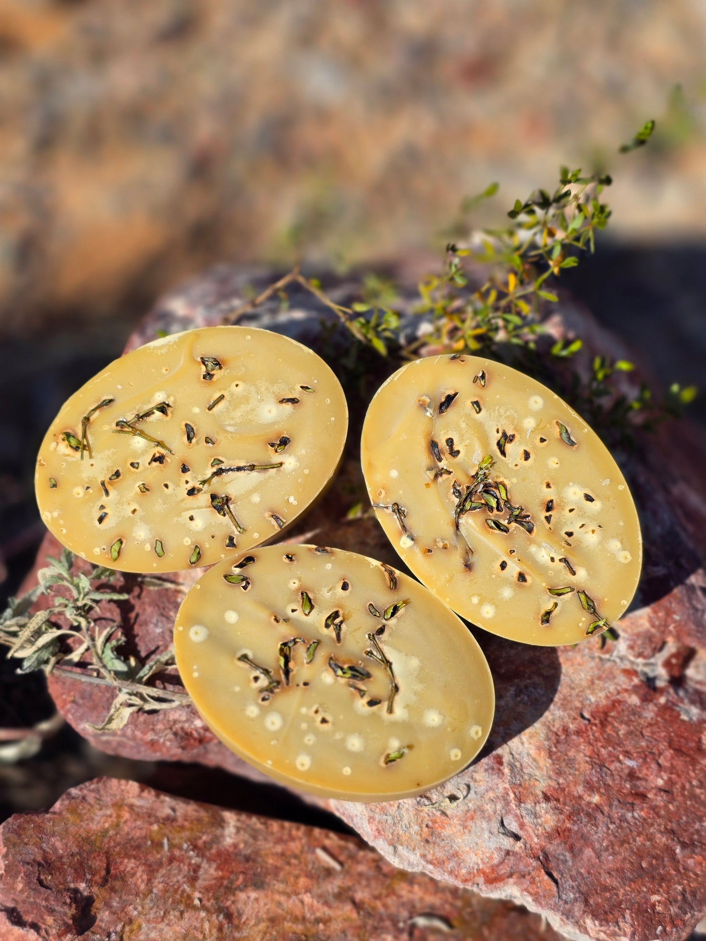 Vegan soap bar infused with wild creosote leaves, offering a refreshing desert rain scent and natural skin benefits.