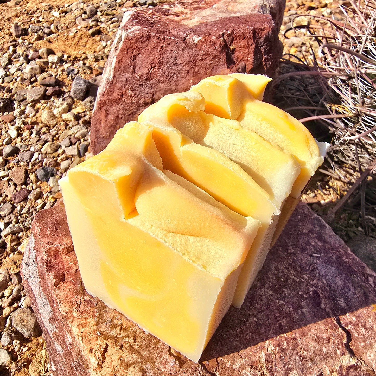 Handmade tallow soap bar featuring a sweet coconut fragrance, crafted with grass-fed beef tallow, shea butter, and olive oil for deep hydration and gentle cleansing.