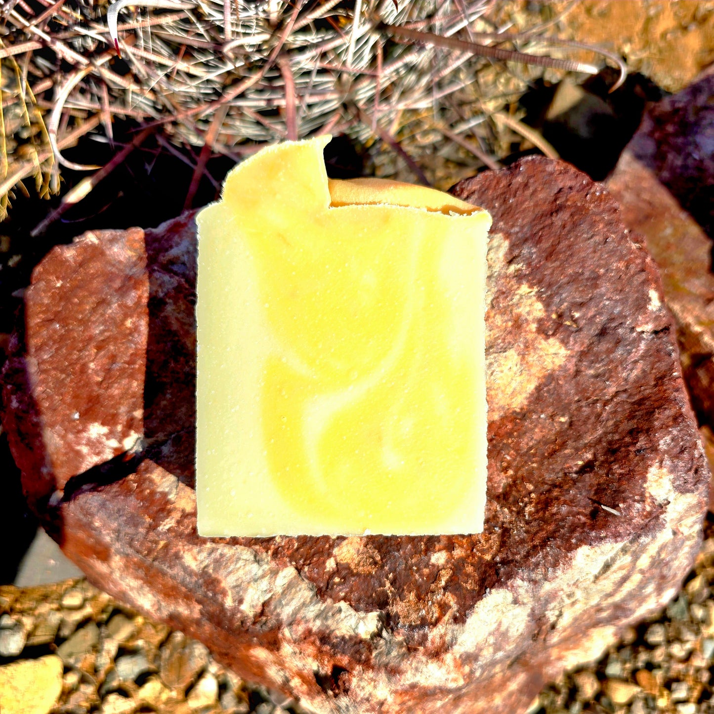 Handmade tallow soap bar featuring a sweet coconut fragrance, crafted with grass-fed beef tallow, shea butter, and olive oil for deep hydration and gentle cleansing.
