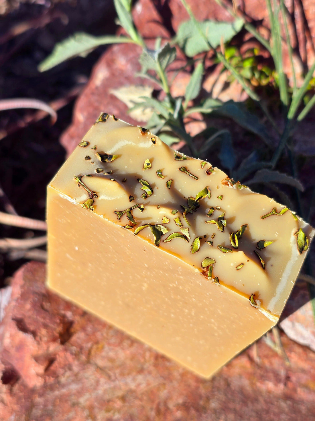Skincare Benefits of Creosote