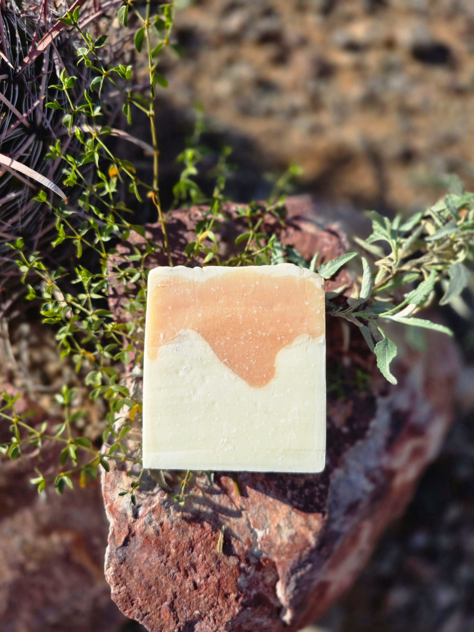 Candy Cane Soap - Herban Desert