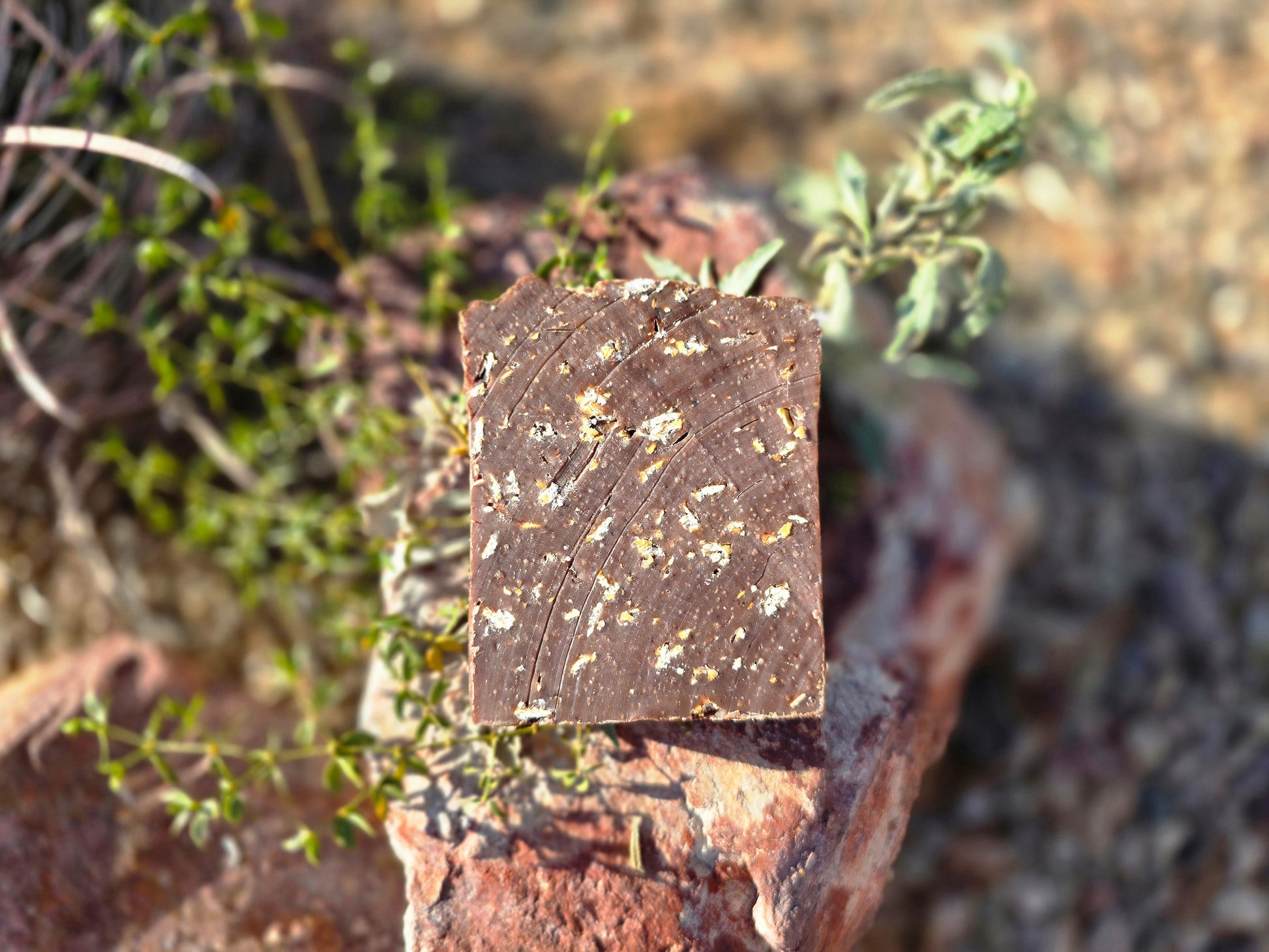 Cinnamon Sugar with Oatmeal Soap - Herban Desert