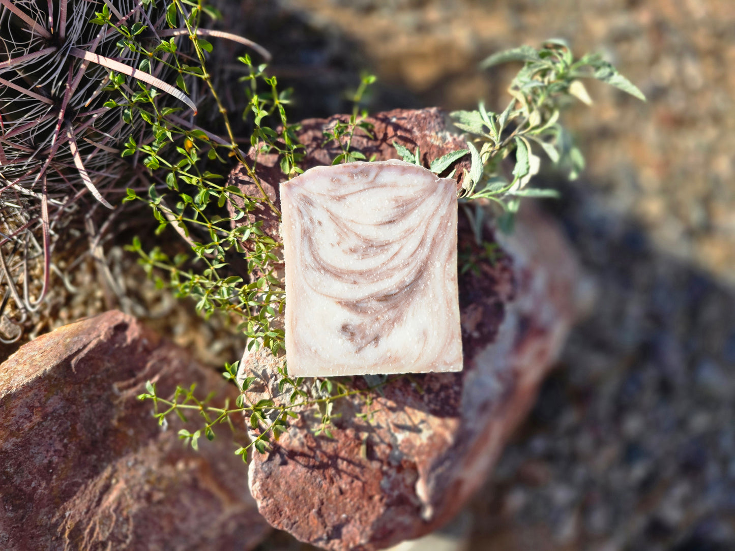 One unlabeled bar of our olive wood and cypress tallow soap.