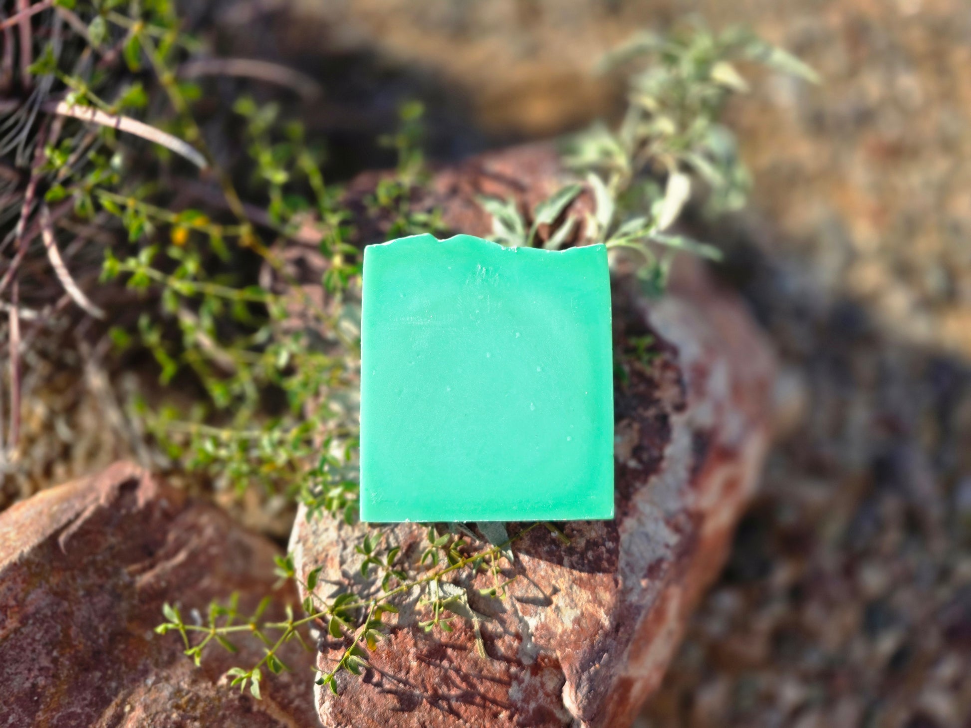 Fresh Succulent Soap - Herban Desert