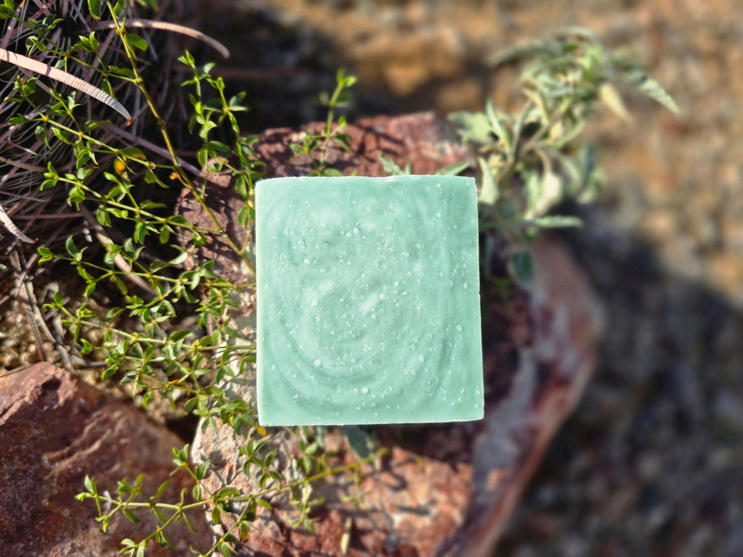 One bar of our lard based soap, forest hike. This shows off the smooth texture of the soap and the dark green with a light green swirl color. This is a clean, woodsy, and pine smell.