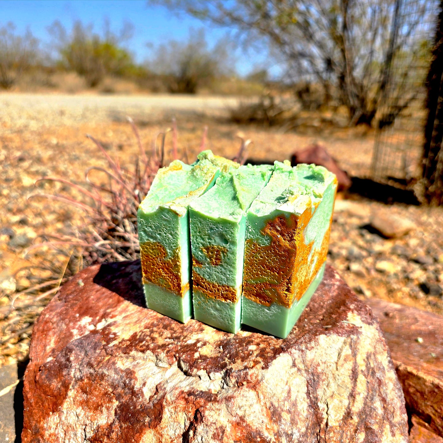 Three handmade tallow soap bars featuring a pine, fir tree, and grapefruit fragrance, crafted with grass-fed beef tallow, shea butter, and olive oil for deep hydration and gentle cleansing.